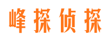 镇康市调查公司